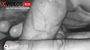 housewife in housecoat gives blowjob on couch.