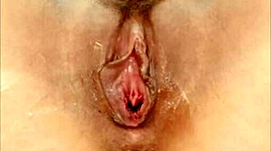 Close-up pussy compilation featuring trimmed and big pussies in action