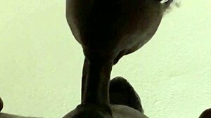 i kept sucking even as he came with a huge load in my mouth