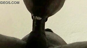He Was Cumming and I Kept Sucking for a Huge Load.