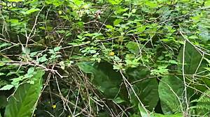 Missalinapaige shows off her trading cards in non-porn video