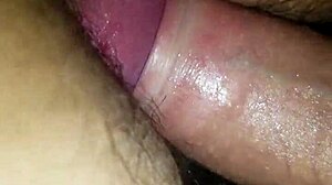 she gets on all fours and i fuck her pussy hard