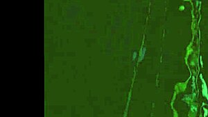 i explore the wonderful world of vintage porn threesomes with hairy pussies and group action