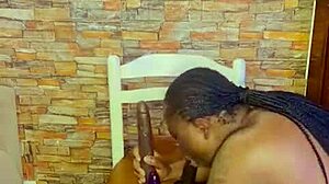 Sundaydogood614 Update 954 Video April 8 2025.