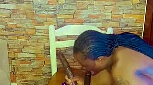 Sundaydogood614 Update 954 Video April 8 2025.