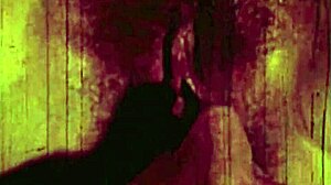 i explore the wonderful world of vintage porn threesomes with hairy pussies and group action