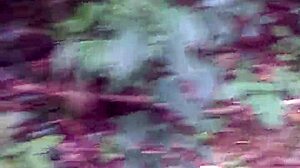 Blonde deepthroats in public woods