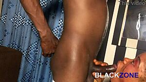 Homemade Babe Offers Blowjob for Intense Fuck