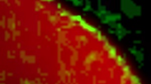 Kanedamaaka ruins my leggings in doggystyle passion, feeling so excited