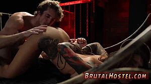 outstanding teen skills excite youthful tourists felicity feline and