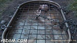 beautiful brunette feels intense pleasure in her fuck holes