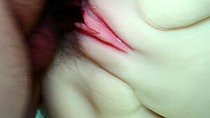 Spread Her Legs and Start Fucking!