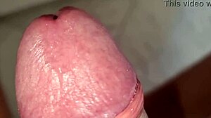 Solo home alone flashes ass and cums on huge cock