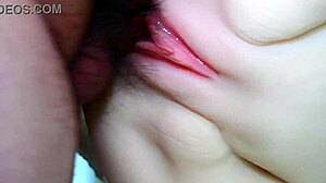 Spread Her Legs and Start Fucking!