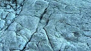 Risky beach blowjob with sloppy teen model in pov backstage.