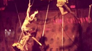 Vintage erotic art with hairy antique elements