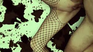 Homemade Amateur Compilation with Anal from 36 Years Couple