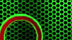 Deviant Priest Mick Blue Bangs Coeds Nikki Benz