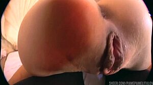 Brother house trains japanese step sister