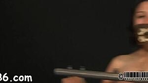 sadomasochism harness