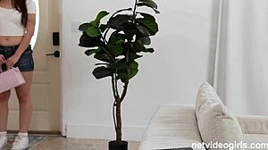 Dont You Love When Innocent Girls Talk Dirty