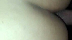 Latina babe enjoys anal play with toys in homemade bathroom session