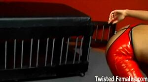 You Worthless Slave, Feel My Femdom Domination and Humiliation in This POV