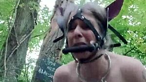 2024 09 04 Esclave F La Ponygirl En For�t Doggystyle Orgasm