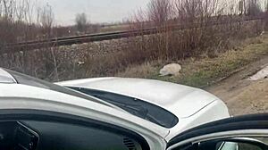 Ep 123 Best of MilfyCalla - Compilation of Great Fucks - Preview