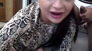 Big Black Cock Penetrates Arab Milf Wife In Homemade Fucking Session