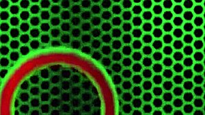 Harmonie Marquis says, 'Take my cum on that juicy ass'