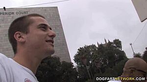 Who Can Handle Aiden Aspen and Shane Diesel?