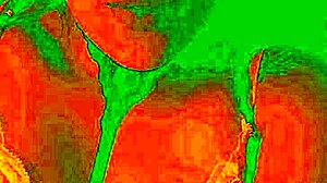 look at bluee's horny face as her pussy gets licked!