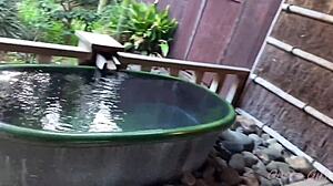 Sakura Hot Springs With Nacchi