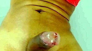 Chat Fuck Shemale On Live