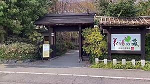 Sakura Hot Springs With Nacchi