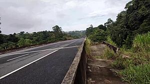 Hot chubby girl walks in the street