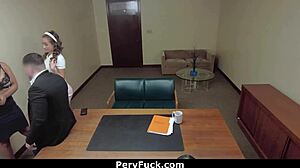 c stylex and scarlett impress mr green.