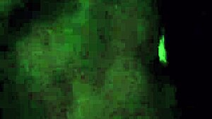 Fucking my wife's slutty mouth, she swallows cum like a whore