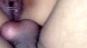rico anal to my latina wife bent over in doggystyle, teasing that mexican ass?