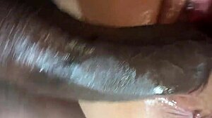 Latina Milf Homemade Backshots