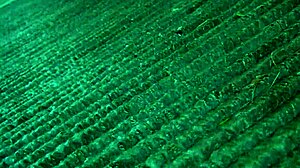 guys lick balls then tag team her in prime position