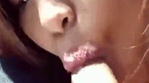 project002: an intriguing exploration of cock sucking in various styles