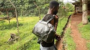 an impressive and unprecedented sex scene in gogo in the adultery of a couple in black africa by a colleague who after having fuck the wife in front of the husband also fucks the husband in front of t