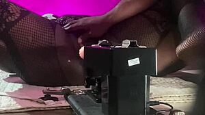 does the black porn star fuck the sex machine