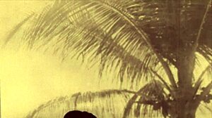 A night in a moorish harem by lord george herbert vintage group scene