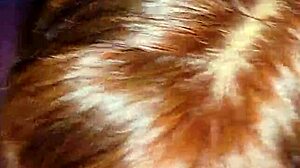 my wife sucks me before anal