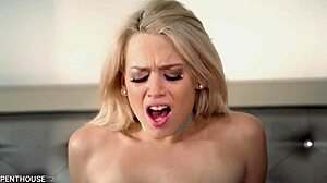 watch madison summers swap oral before getting doggystyled hard?