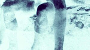 i collect these vintage erotic drawings, but they are antique