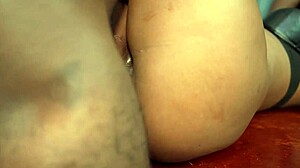 tow big dick for my small 18+ pussy